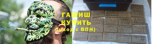 дмт Богданович