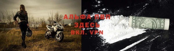 дмт Богданович