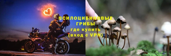 прущие крисы Богородицк
