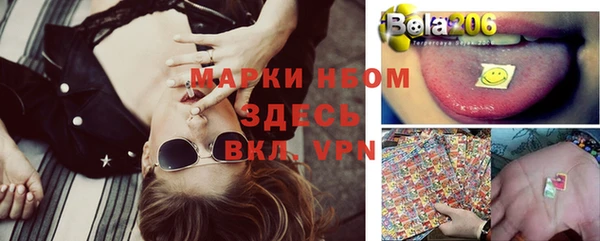 дмт Богданович