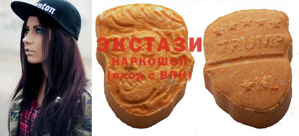 дмт Богданович