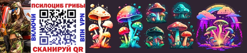 Галлюциногенные грибы Psilocybine cubensis  кракен ТОР  Малоярославец  сколько стоит 