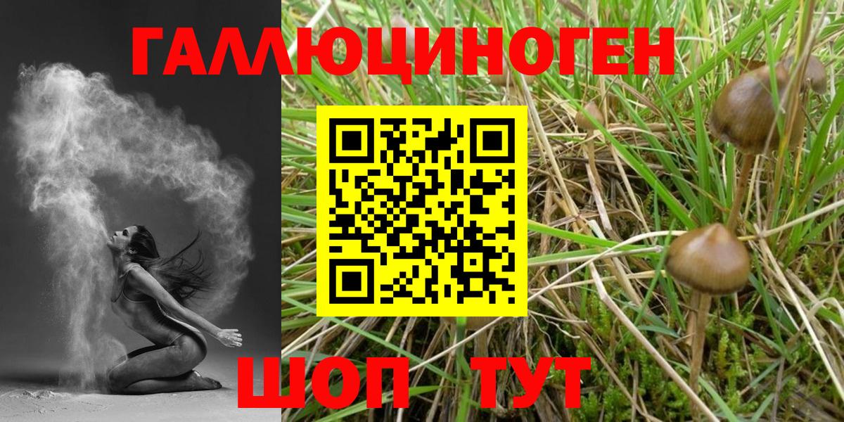 Малоярославец  Галлюциногенные грибы ЛСД  Вход с VPN 