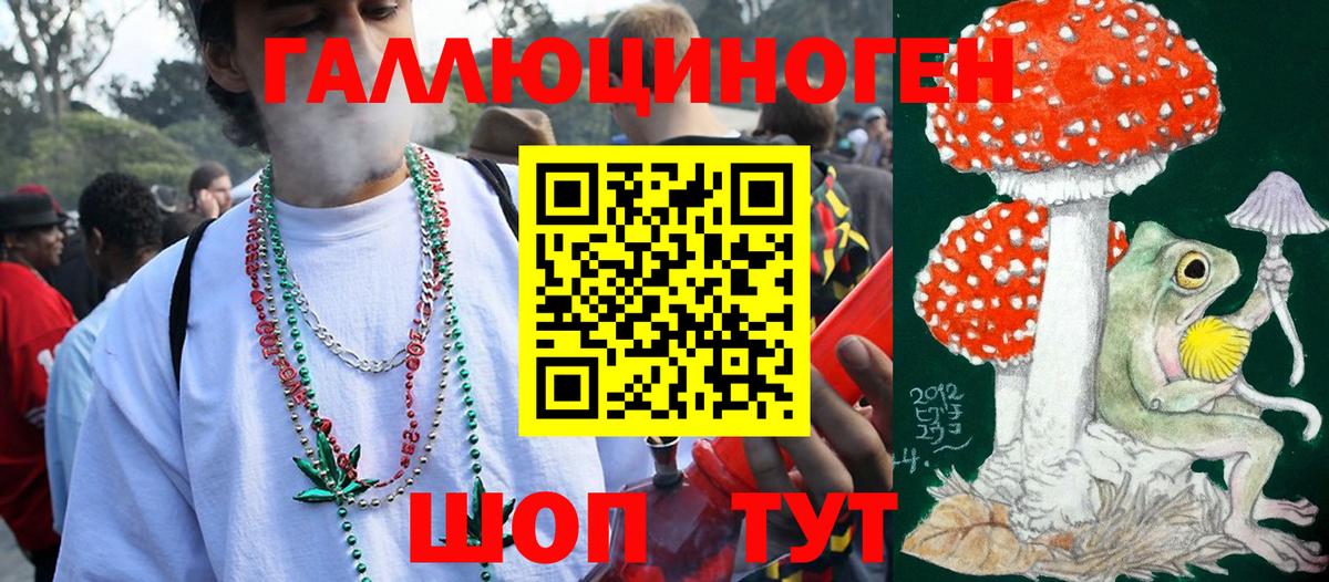 Псилоцибиновые грибы Cubensis Малоярославец